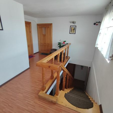 Camere De Inchiriat Edelweiss Dumbrava Rosie Ngoại thất bức ảnh