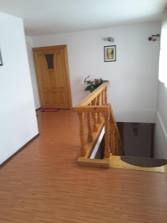 Camere De Inchiriat Edelweiss Dumbrava Rosie Ngoại thất bức ảnh